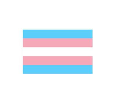 Transphobia